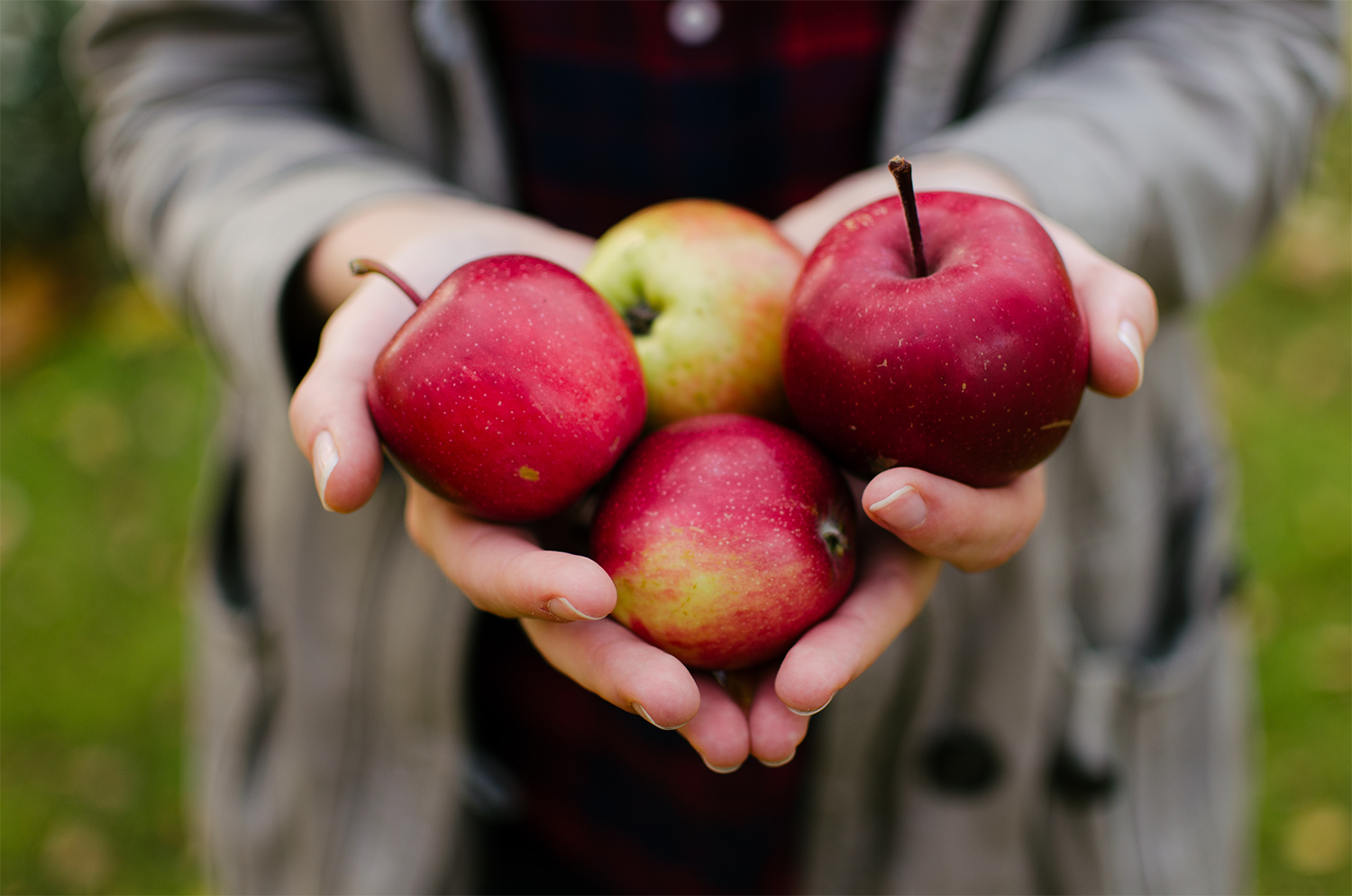 Heart Healthy Food